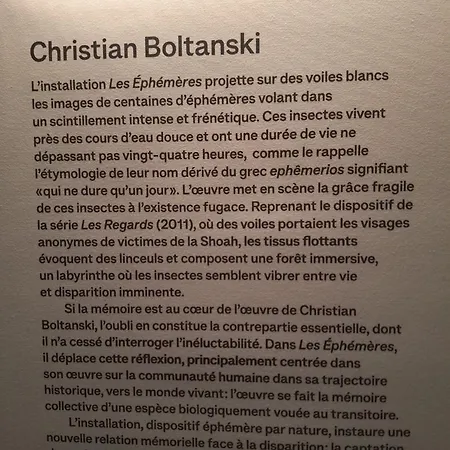 Nicole Boulouris Calme Tres Proche De La Appartement