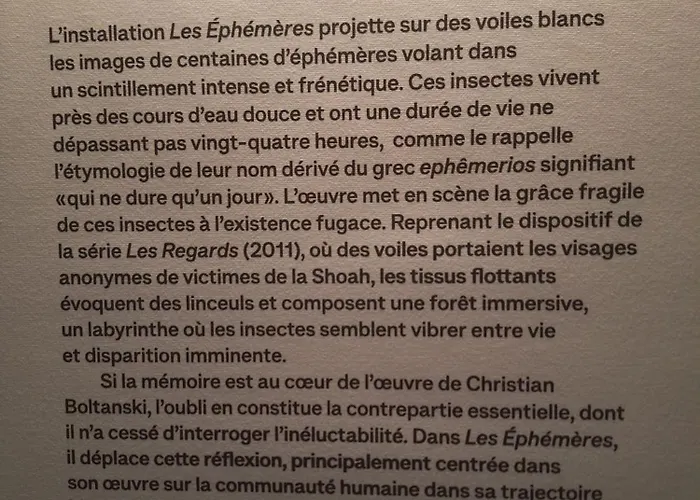 Bastidons A Boulouris Pega Proche Du Bord De 83700 Apartamento